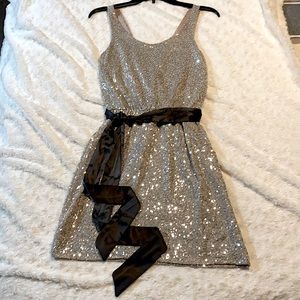 Sequins Express Dress